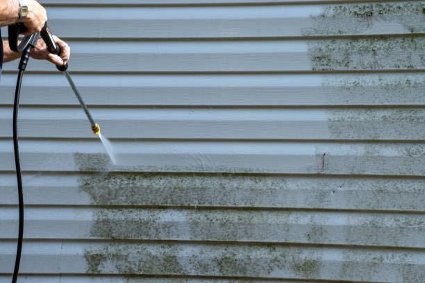 Best Stone Veneer Siding  in Harrison, WI
